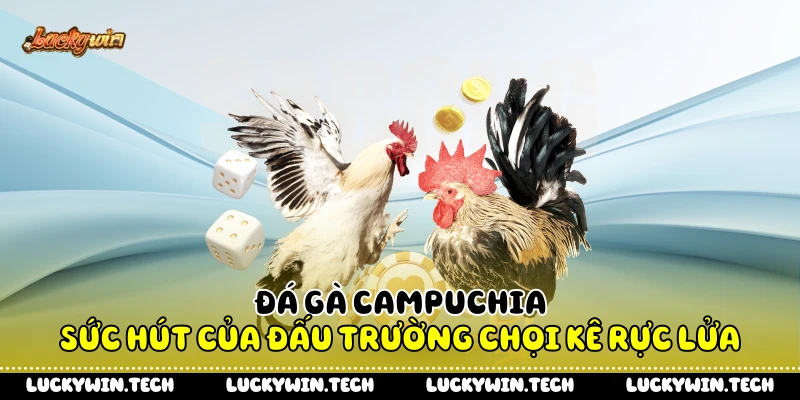Đá Gà Campuchia - Sức Hút Của Đấu Trường Chọi Kê Rực Lửa