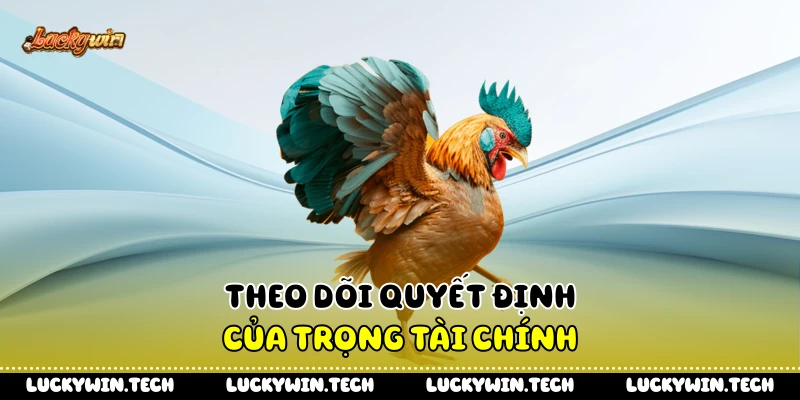 Theo dõi quyết định của trọng tài chính